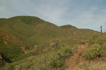 photo thumbnail #9