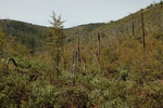 photo thumbnail #14