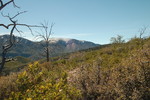 photo thumbnail #9
