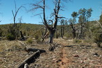 photo thumbnail #10