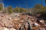 photo thumbnail #13
