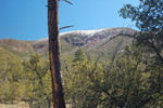 photo thumbnail #14