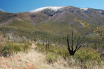 photo thumbnail #15