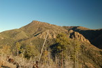 photo thumbnail #6