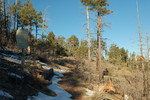 photo thumbnail #8