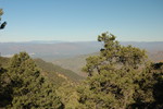 photo thumbnail #9