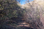photo thumbnail #6