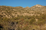 photo thumbnail #2