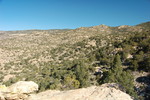 photo thumbnail #13