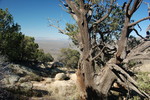 photo thumbnail #14