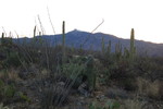 photo thumbnail #1
