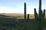 photo thumbnail #3