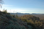 photo thumbnail #4