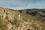 photo thumbnail #5