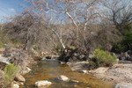 photo thumbnail #8