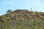 photo thumbnail #9