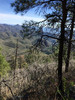 photo thumbnail #9