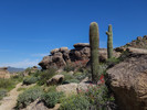 photo thumbnail #9