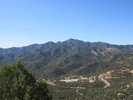 photo thumbnail #2