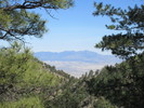 photo thumbnail #7