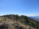 photo thumbnail #10
