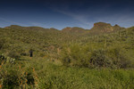 photo thumbnail #5