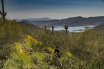 photo thumbnail #9