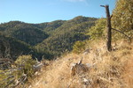 photo thumbnail #8