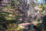 photo thumbnail #10