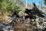 photo thumbnail #11