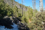photo thumbnail #12