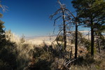 photo thumbnail #14
