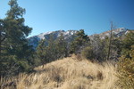 photo thumbnail #15