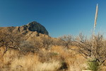 photo thumbnail #2