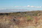 photo thumbnail #4