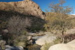 photo thumbnail #14