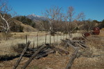 photo thumbnail #11