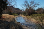 photo thumbnail #13