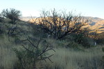 photo thumbnail #2