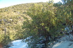 photo thumbnail #6