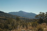 photo thumbnail #12