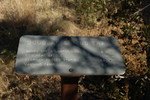 photo thumbnail #13