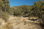 photo thumbnail #14