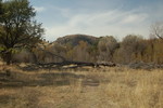 photo thumbnail #2