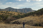photo thumbnail #7