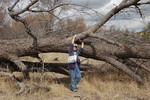 photo thumbnail #4