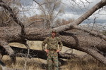 photo thumbnail #3