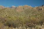 photo thumbnail #2