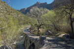photo thumbnail #15