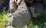 photo thumbnail #4